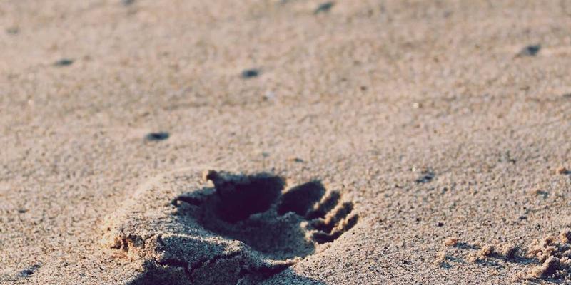 自驾游阳朔终极指南：租车攻略、3大经典路线与5个私藏停车观景台