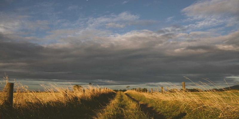 阳朔在地艺术家与手工艺探访：从农民画到竹编，体验传统与现代的艺术交融