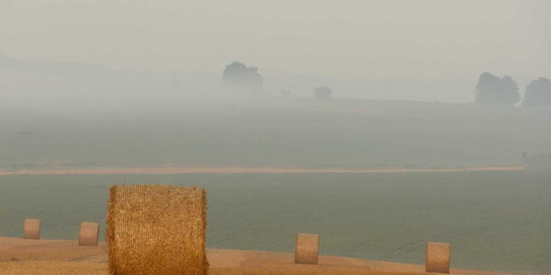 阳朔西街夜生活全攻略：酒吧、手信、街头表演与安全贴士